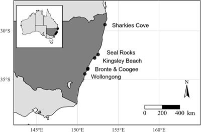 Positive and Negative Species Interactions Shape Recruitment Patterns of a Range Expanding Native Alga